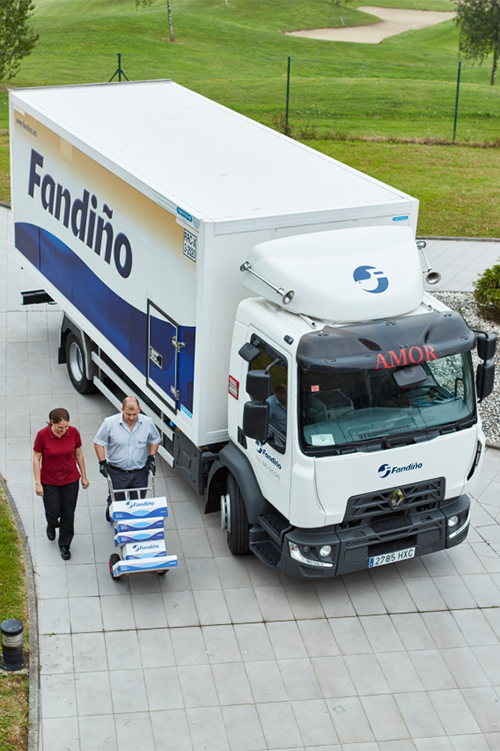 REFRIGERATED TRANSPORT IN SPAIN - Renault truck D