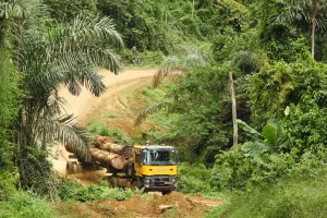 Renault Trucks K transporting logs in Africa